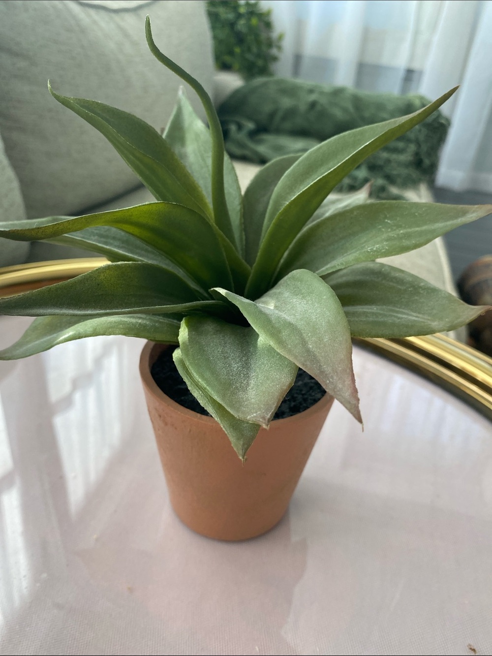 Small Artificial agave plant